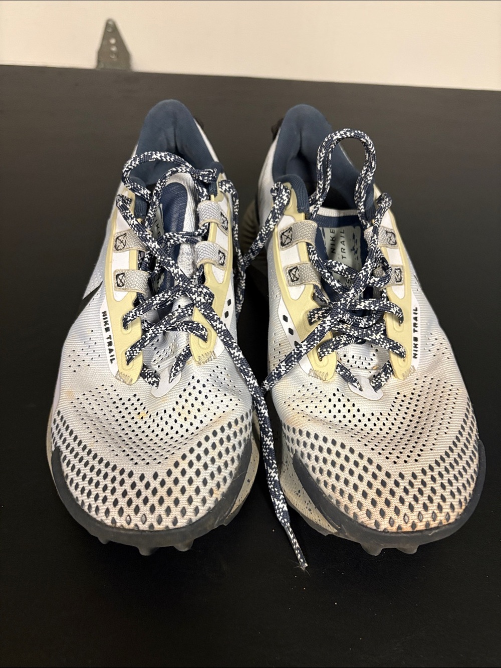 Nike Men's Pegasus Trail Running Shoes - Grey and Navy
